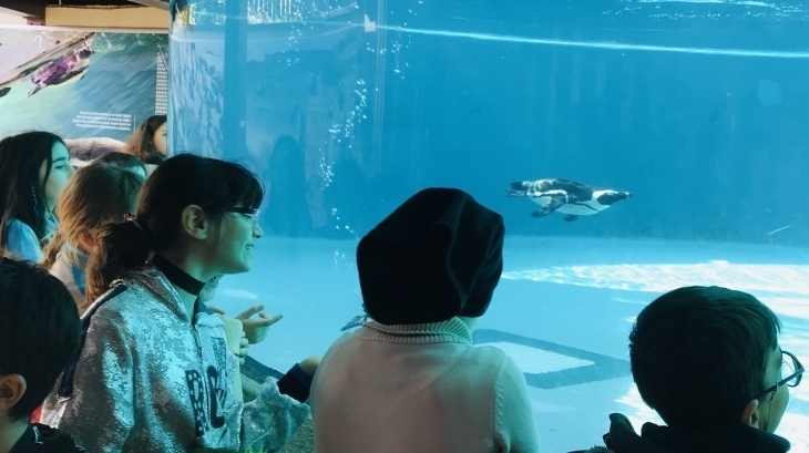 Zoo