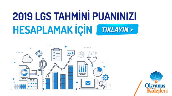 2019 LGS Tahmini Puanınızı Hesaplayın