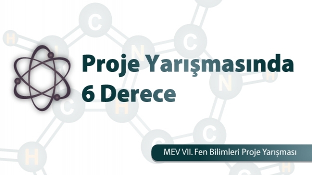 6 Proje Derecesi
