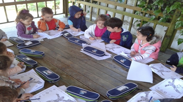 AVCILAR YUNUSLAR GRUBU FASTRACKİDS DERSİNDE