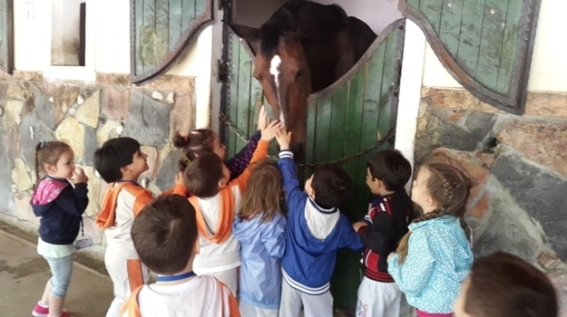 Güneşli Okul Öncesi C Grubu Öğrencileri K9 At Çiftliği Gezisinde