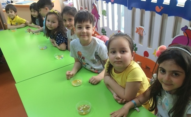 Güneşli Okyanus Koleji Okul Öncesi Gökkuşağı Grubu Fen ve Doğa Etkinliğinde