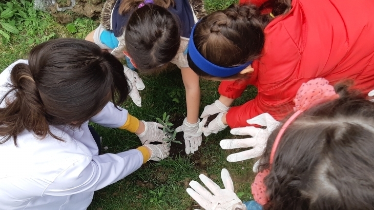Halkalı Okul Öncesi A Grubu Öğrencileri İngilizce Dersinde