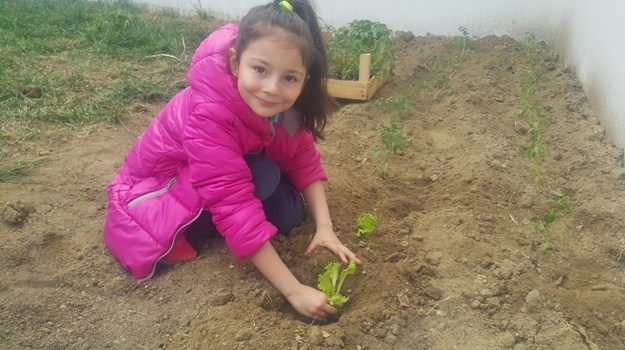 Mimaroba Okyanus Okul Öncesi A ve B Grubu Öğrencileri Bitki Yetiştirme Etkinliğinde