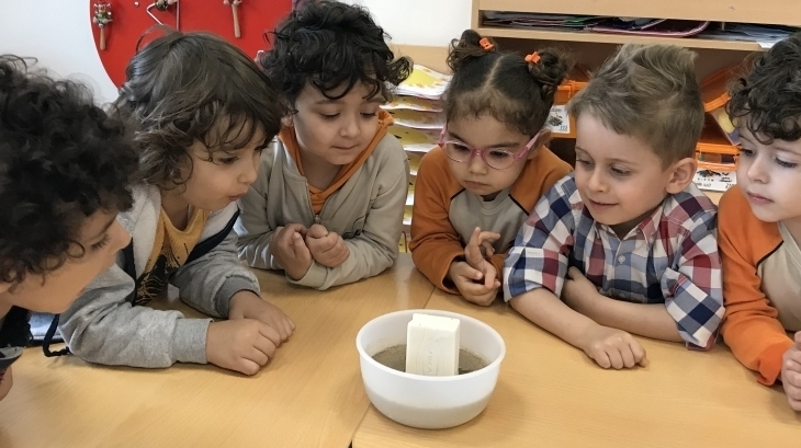 Mimarsinan Okyanus Koleji Okul Öncesi Kuşlar Grubu Fen ve Doğa Etkinliğinde