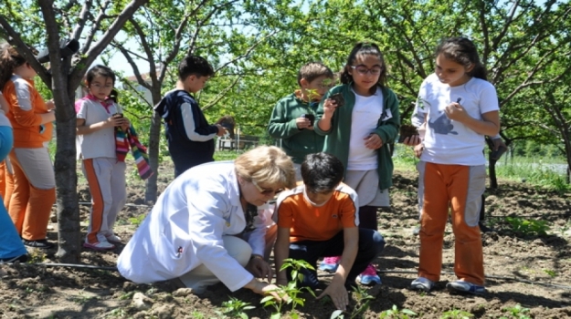 Avcılar Okyanus 4. Sınıf Öğrencileri, Okyanus Park'a Sebze Ekti
