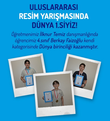 Uluslararası Resim Yarışmasında Güneşli Okyanustan Dünya Dereceleri