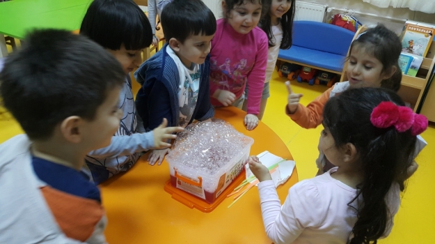 Avcılar İnciler Grubu Fen ve Doğa Etkinliğinde
