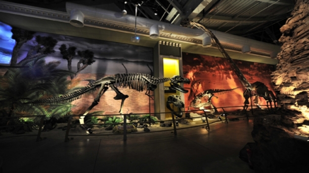 4. Sınıf Öğrencileri, Dinozorlar Diyarı Jurassic Land'da