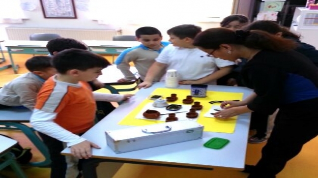 Üstün Zekâlılar ve Yetenekliler 2.3.4. Sınıf Öğrencileri Çince Dersinde
