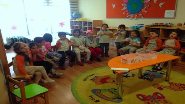 Fatih Okyanus Yıldızlar Grubu Sığ ve Derin Kavramları Öğreniyor