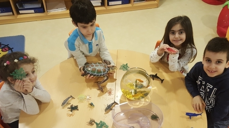Gökkuşağı Grubu Öğrencileri İngilizce Bilingual Dersinde Okyanus Canlılarını Tanıyor
