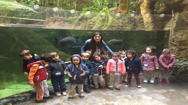 Güneşli Okul Öncesi C Grubu Öğrencileri Florya Akvaryum Gezisinde