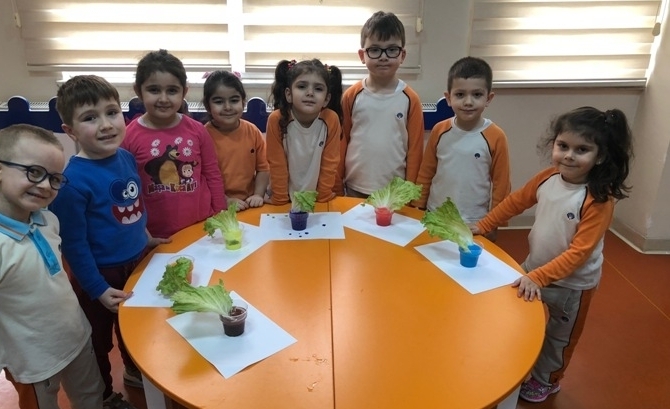 Güneşli Okyanus Koleji Okul Öncesi Yunuslar Grubu Fen ve Matematik  Etkinliğinde