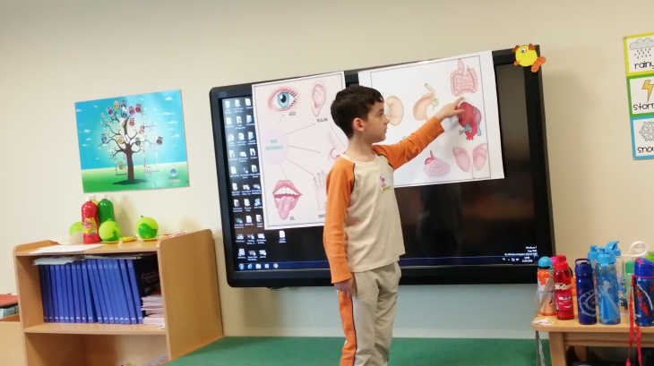 Mavişehir Okyanus Koleji Okul Öncesi Balıklar Grubu Sosyal Beceri Dersinde