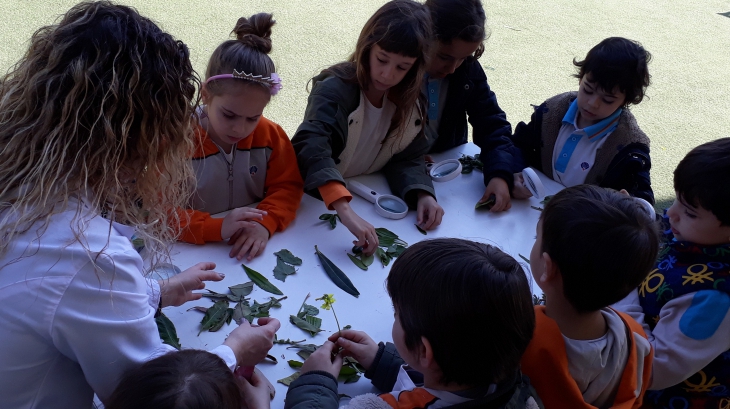 Mavişehir Okyanus Koleji Okul Öncesi Kuşlar Grubu Bütünleştirilmiş Etkinlikte