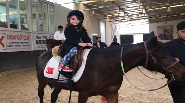 Mimaroba Okyanus Okul Öncesi Yunuslar Ve Çiçekler Grubu At Çiftliğinde