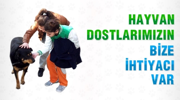 Okyanuslular'dan Hayvan Dostlarımıza Yardım