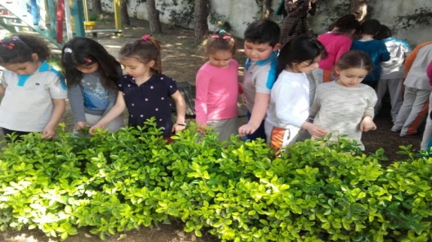 Okul Öncesi Yıldızlar Grubu Fen-Doğa Etkinliği