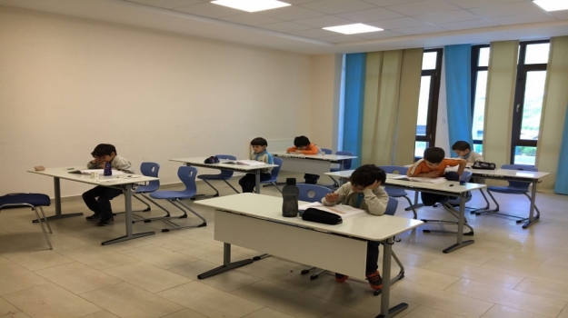 Üstün Zekâlılar Eğitiminde Bireysel Farklılığa Uygun Eğitim