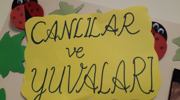 1. Sınıflar'ın "Canlılar ve Yuvaları" Etkinliği
