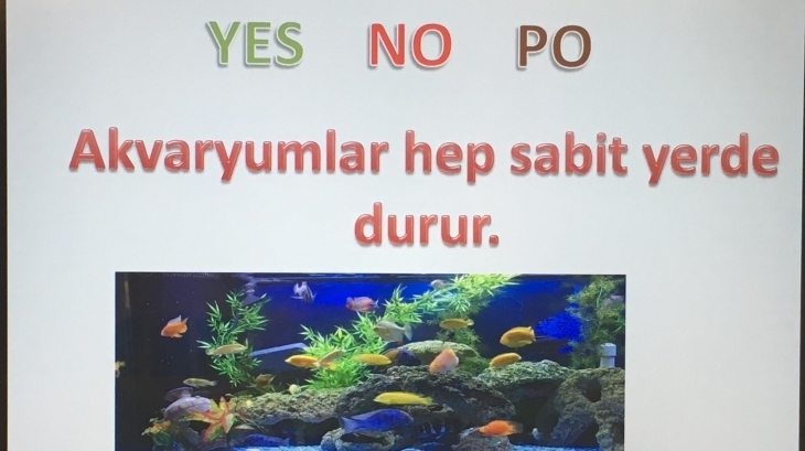 1/C Sıfında Yes, No, Po Tekniği