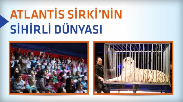 Atlantis Sirki'nde Heyecanlı Gösteri