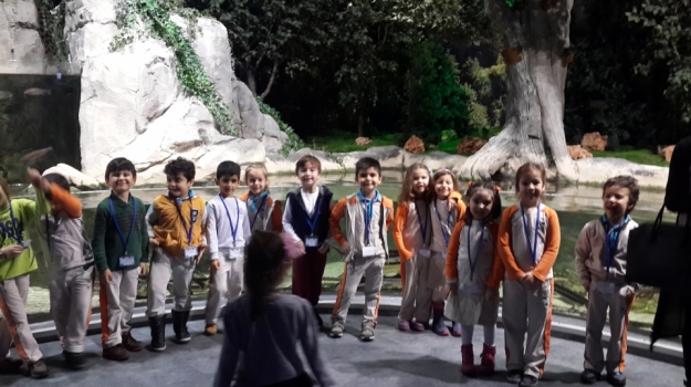 Avcılar A Grubu “İstanbul Akvaryum” gezisinde