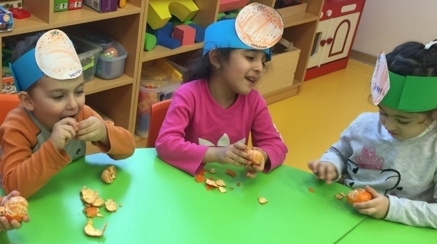 Beykent okyanus Koleji Okul Öncesi Balıklar Grubu C Vitamini Partisi Yapıyor