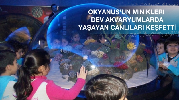 Dev Akvaryum'a Ziyaret
