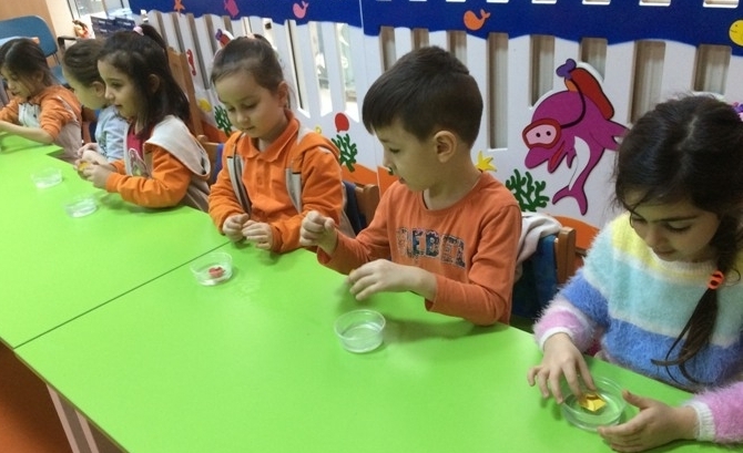 Güneşli Okyanus Koleji Okul Öncesi Gökkuşağı Grubu Fen ve Doğa etkinliğinde