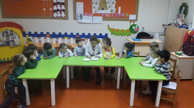 Güneşli Okyanus Koleji Okul Öncesi Çiçekler Grubu Bitki Yetiştirme Deneyi Yapıyor