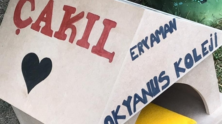 Ortaokul Kademesi 6/A Sınıfı Öğrencilerinden Sosyal Sorumluk Projesi