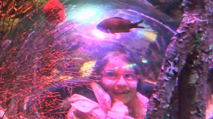 1.Sınıflar Sea Life'ta