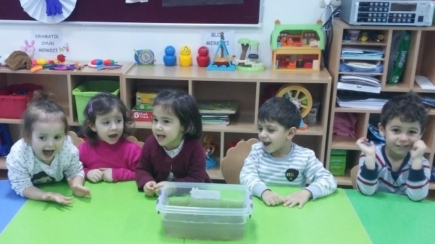 Bahçeşehir  Ağaçlar Grubu Fen ve Doğa Etkinliğinde