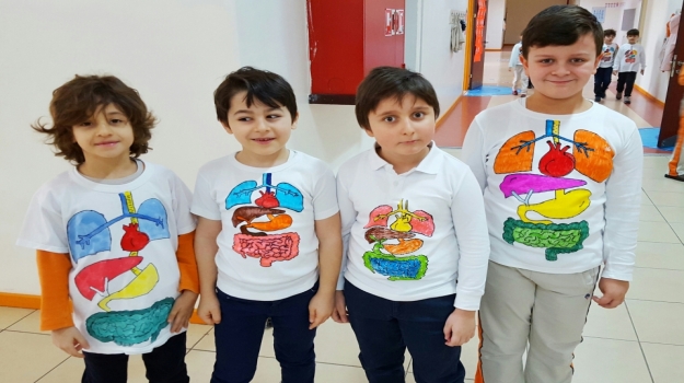 Bahçeşehir Okyanus Koleji 2. Sınıf Öğrencileri İç Organlarını Öğreniyor.