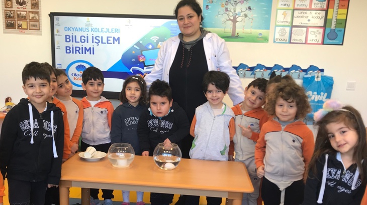 Beykent Okyanus Koleji Okul Öncesi Balıklar Fen ve Doğa Etkinliği Dersinde