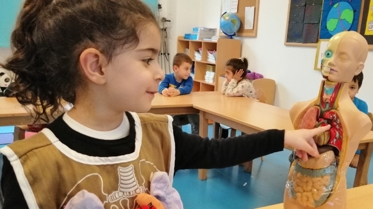 İncek Okul Öncesi Çiçekler Sınıfı Fastrackids Dersinde İnsan Vücudunu Öğreniyor