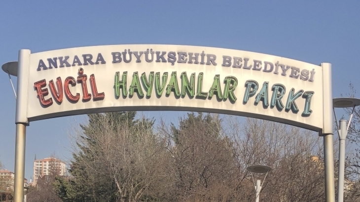 Eryaman Okyanus Koleji Öğrencileri “Evcil Hayvanlar Parkı”nda