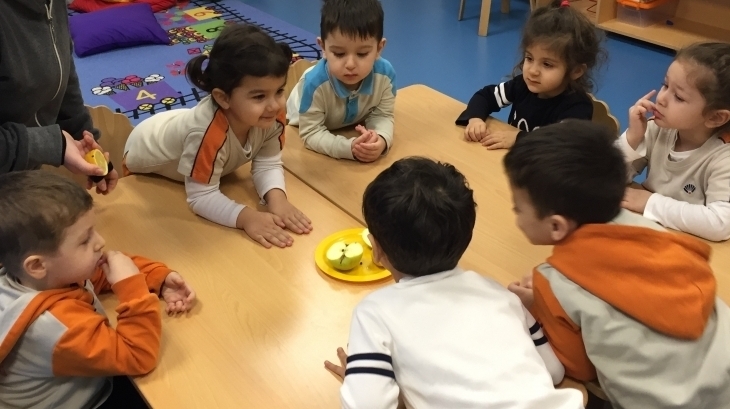 Mimarsinan Okyanus Koleji Okul Öncesi Kuşlar Grubu Fen Ve Doğa Etkinliğinde