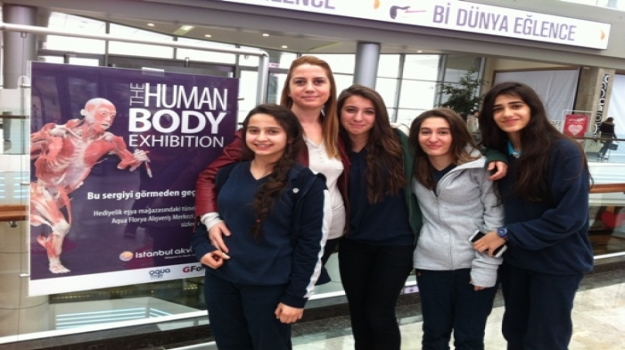 Liseliler, "The Human Body " Sergisi'nde