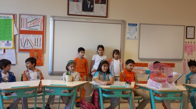 Sancaktepe Okyanus Koleji Öğrencileri Canlıları Tanıyor