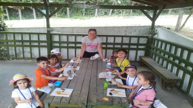 Bahçelievler Okyanus Koleji Yaz Anaokulu Öğrencileri Avcılar Okyanus Parkta