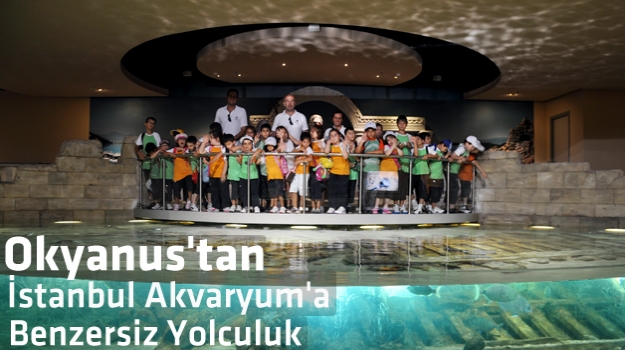 Okyanuslular İstanbul Akvaryum'da