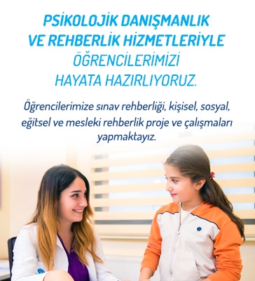 Psikolojik Danışmanlık