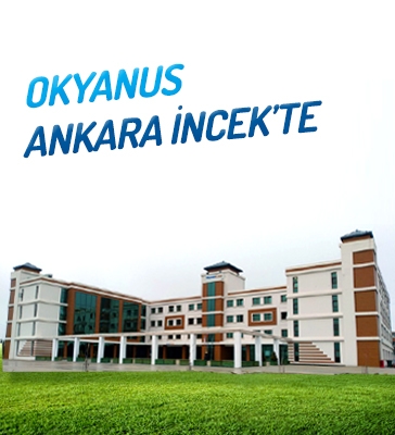 ANKARA - İNCEK