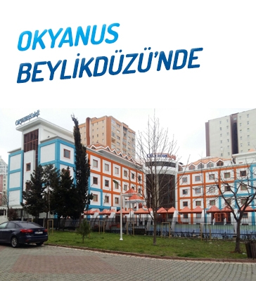 BEYLİKDÜZÜ