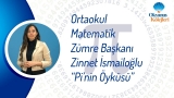 Pi'nin Öyküsü